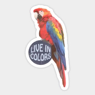 Parrot Live in colors Sticker